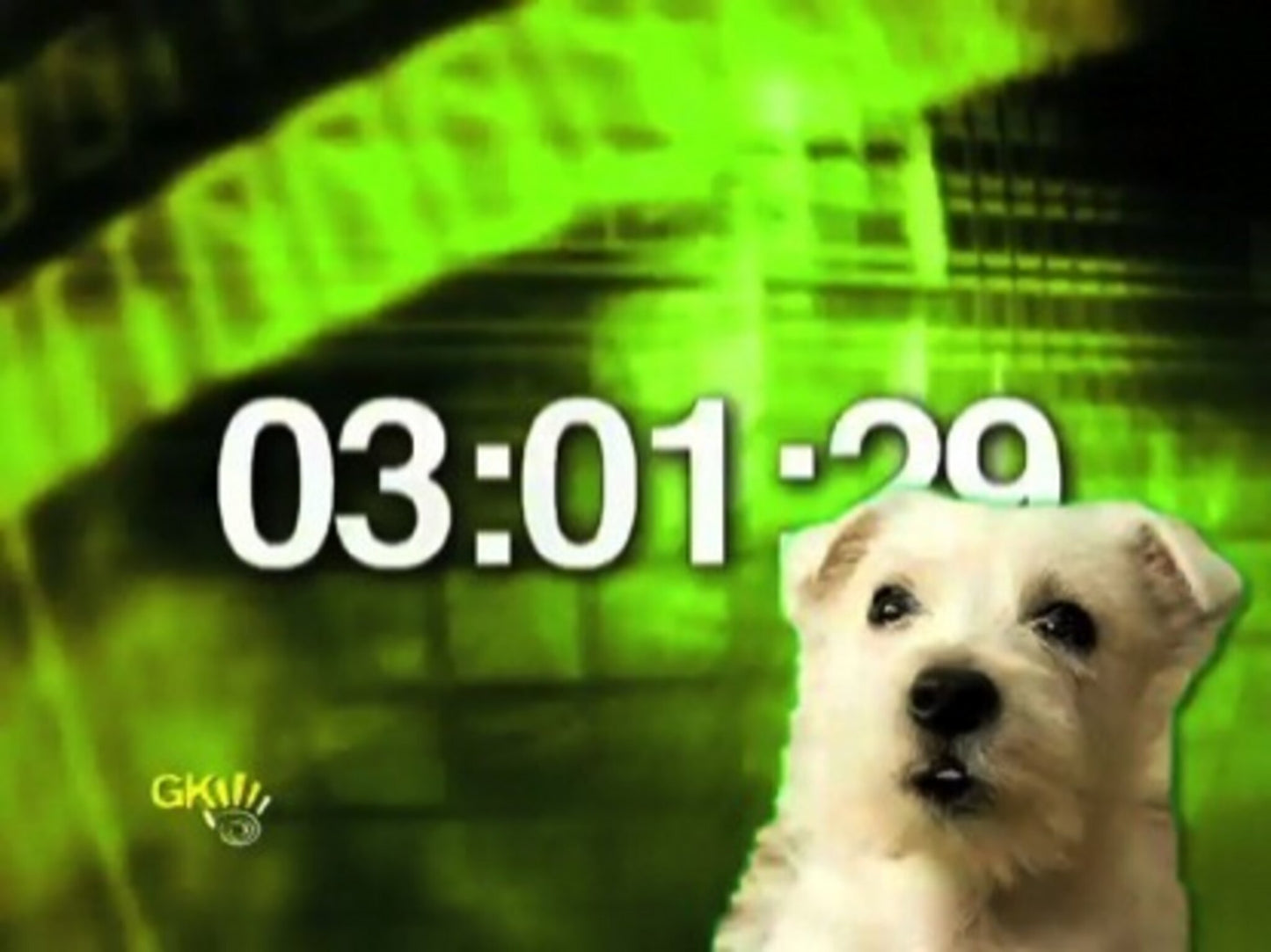 Cute Puppy With A Cute Bark Countdown