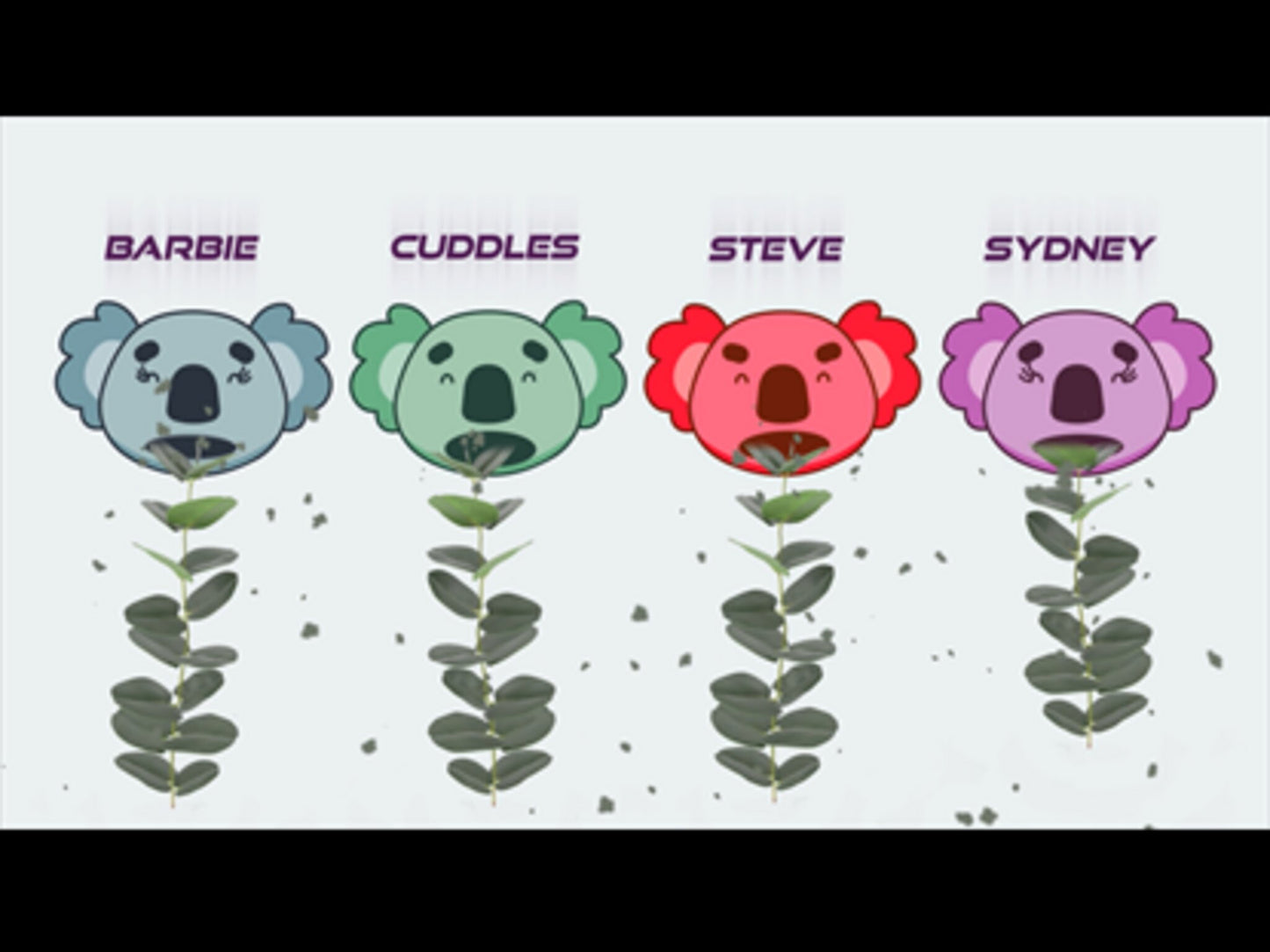 Koala Race