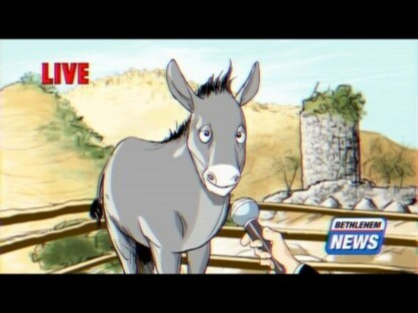 Bethlehem Donkey Interview