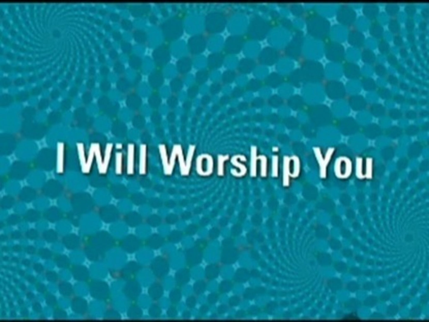 I Will Worship You