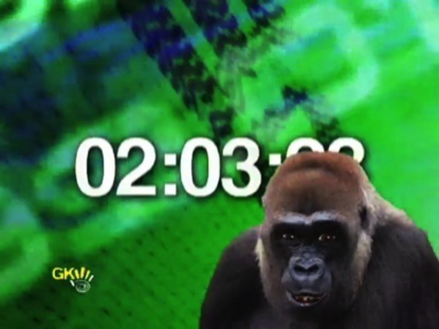 British Gorilla Reminders Countdown