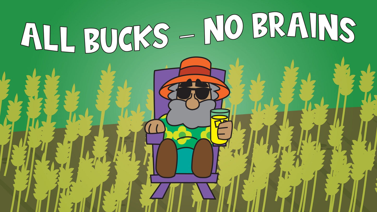 Parable Of The Rich Fool Bible Story Video