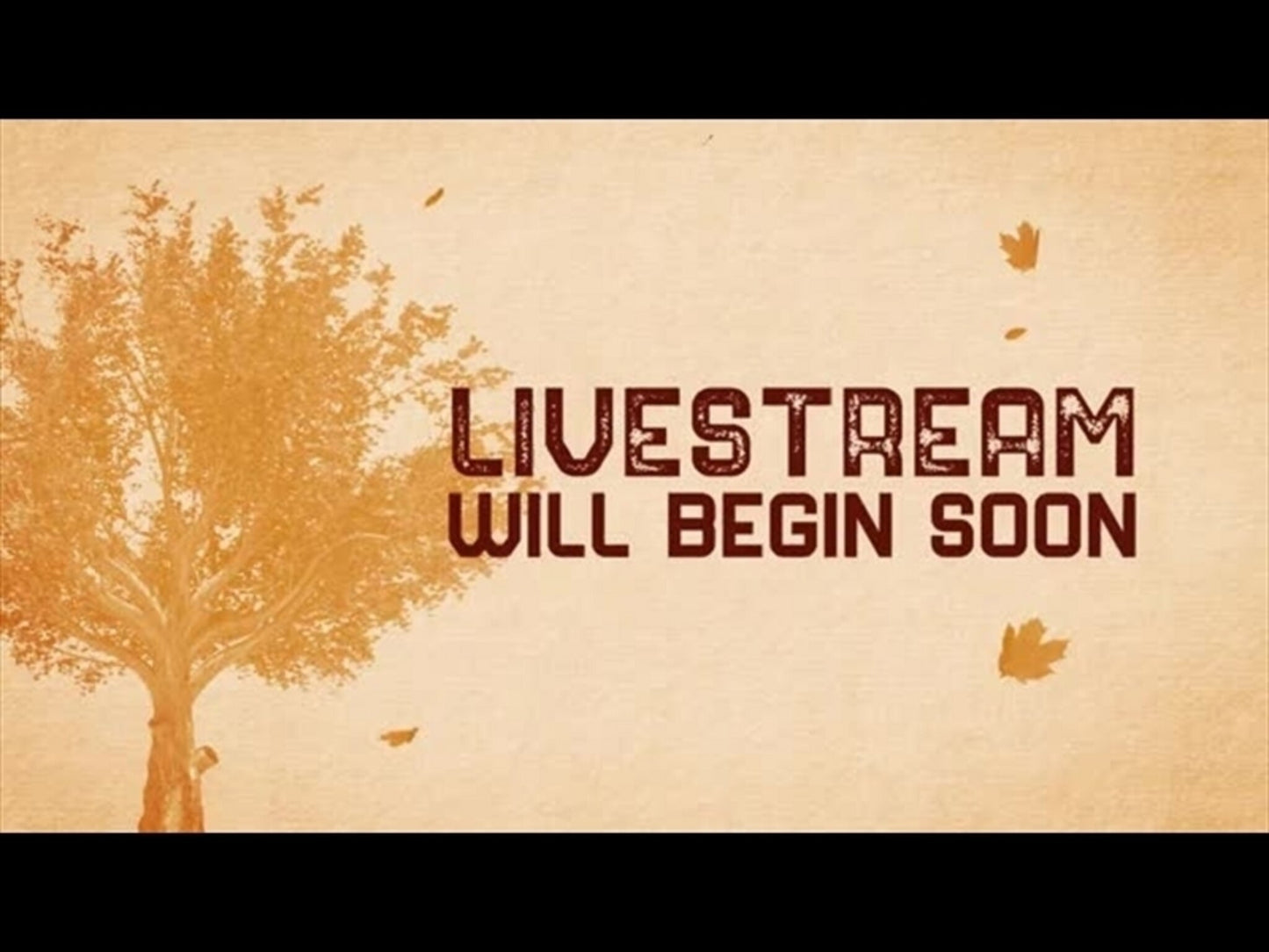 Fall Volume one: livestream