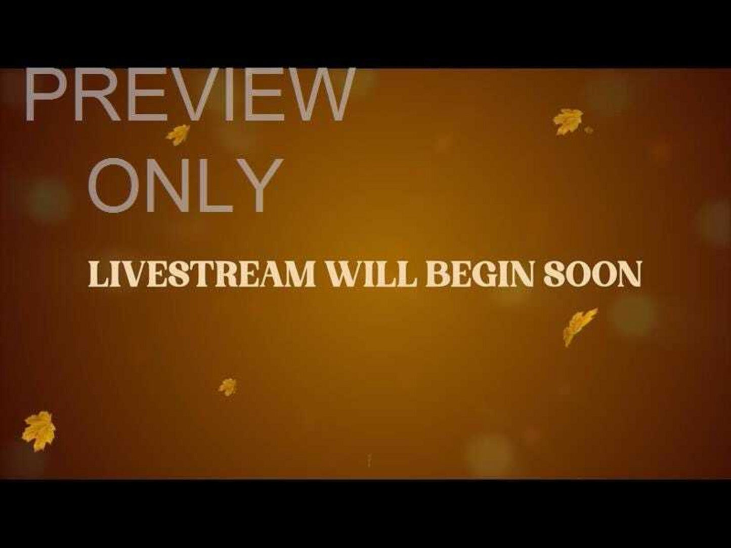 fall volume two: livestream still