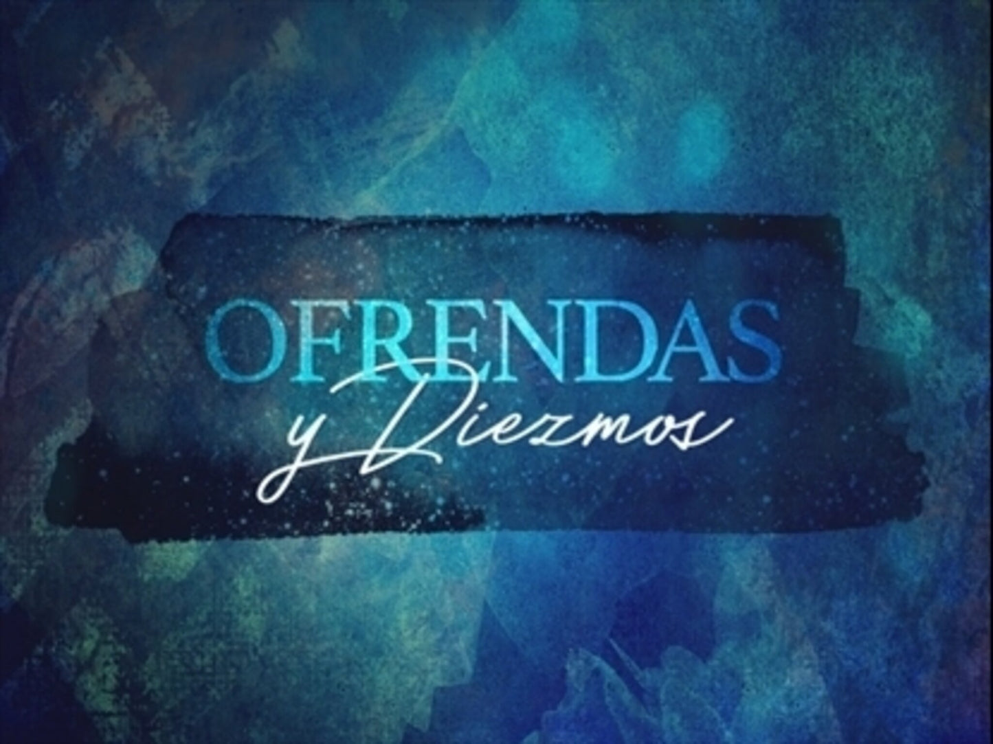 Spring To Life Offering Motion Spanish