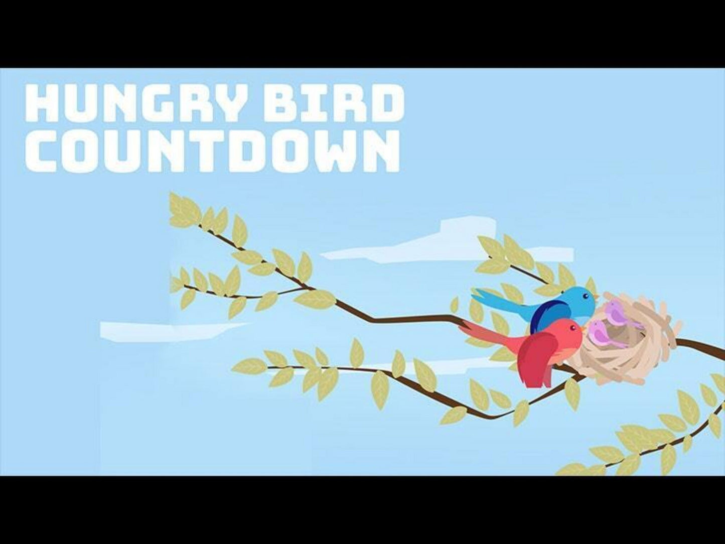 Hungry Bird Spring
