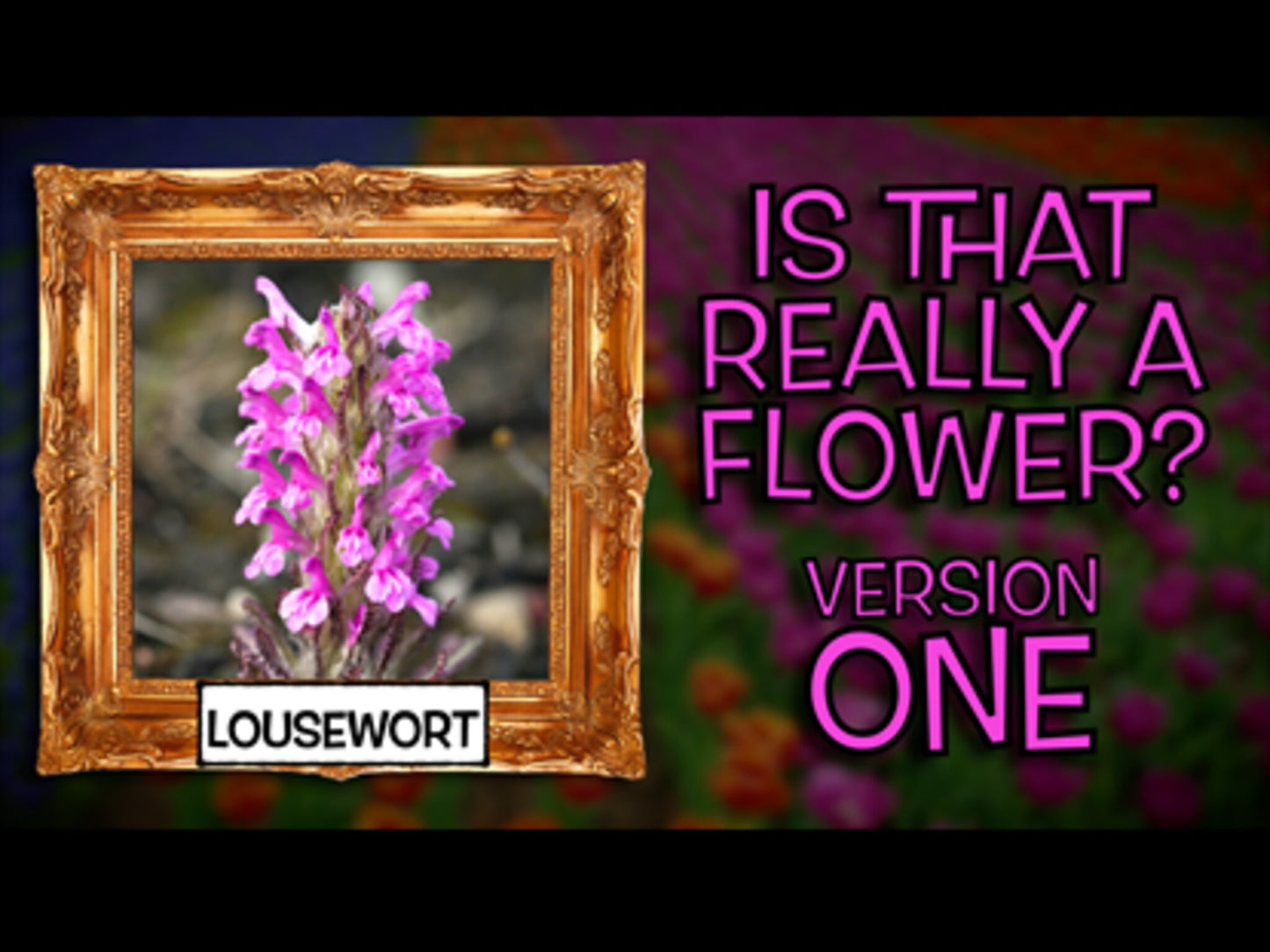 Is That Really A Flower? Version 1