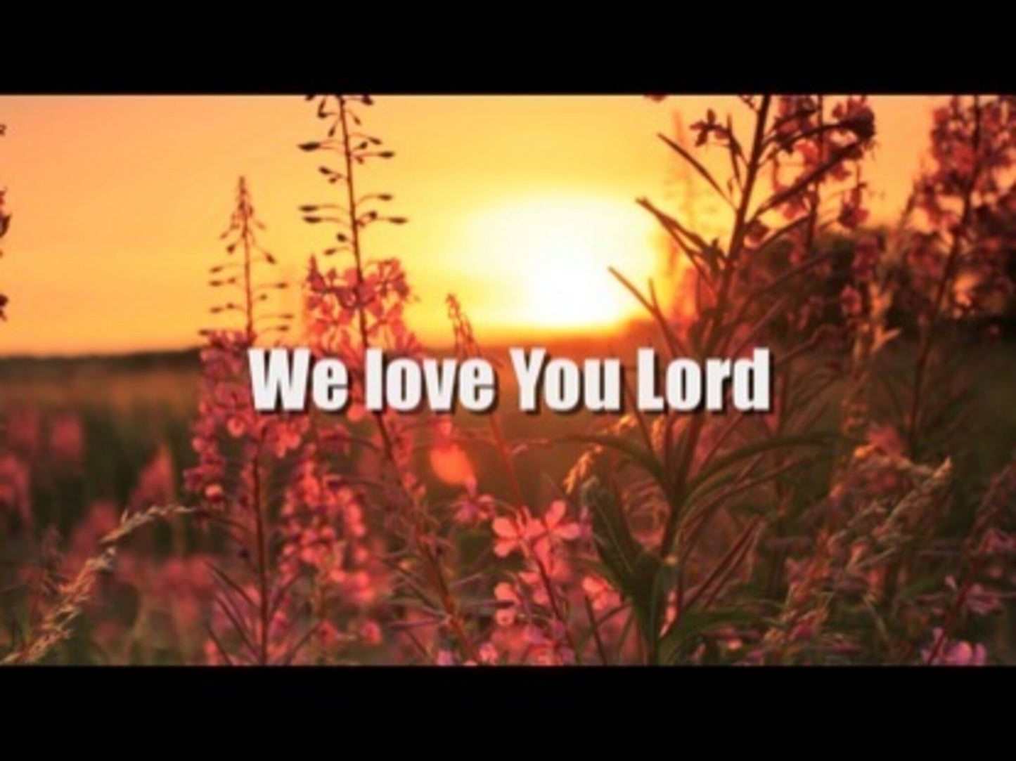 We Love You Lord