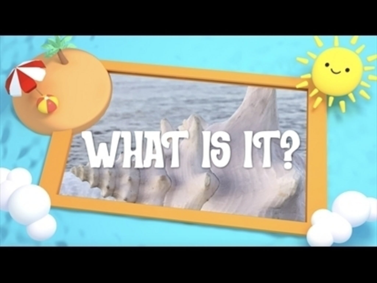 At The Beach Close-Ups