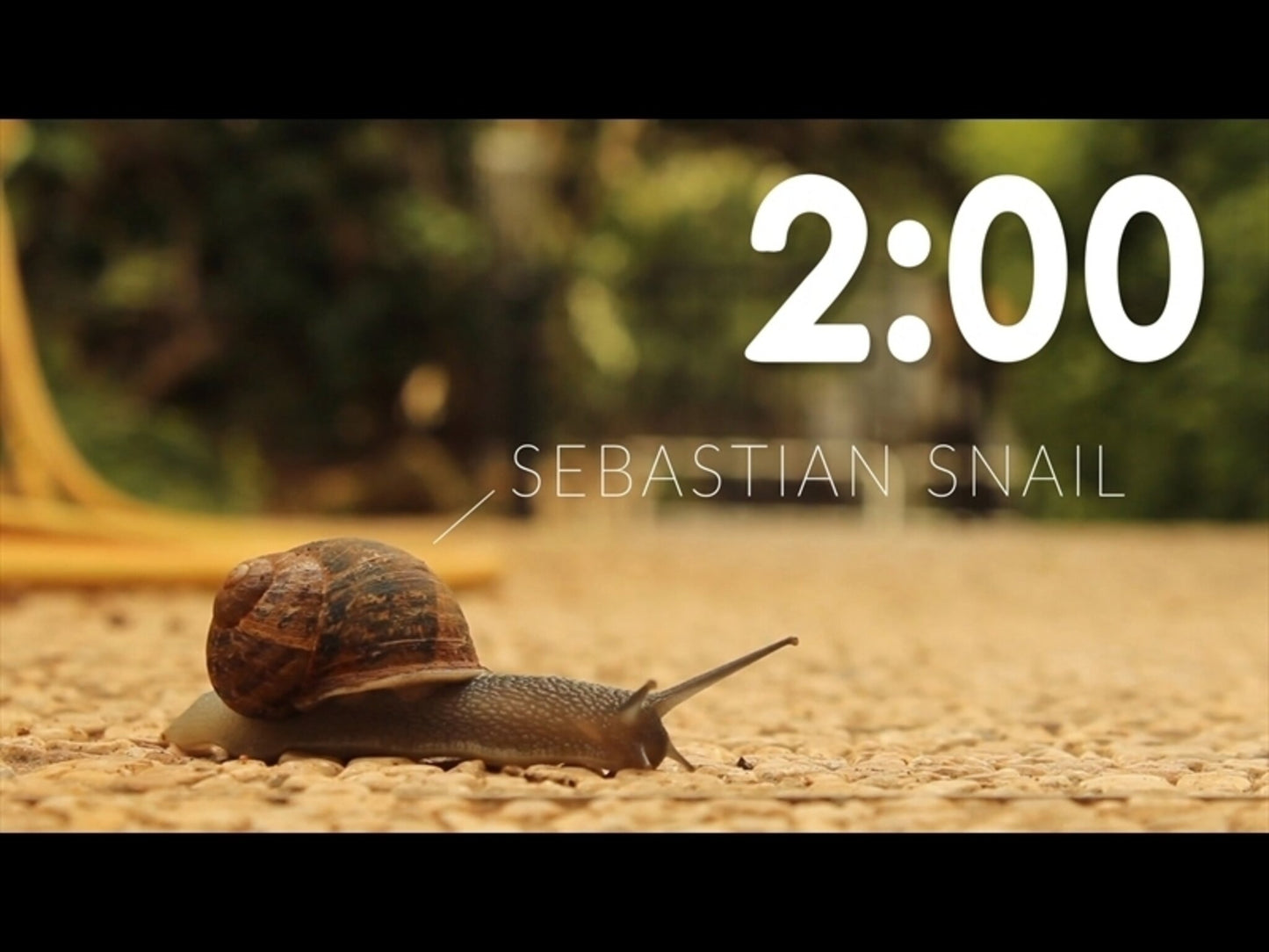 2 Minute Countdown - Sebastian The Snail