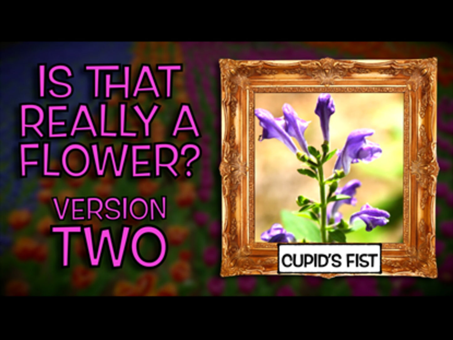 Is That Really A Flower? Version 2