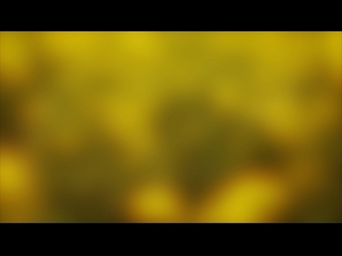 Colors Of Nature Motion 3