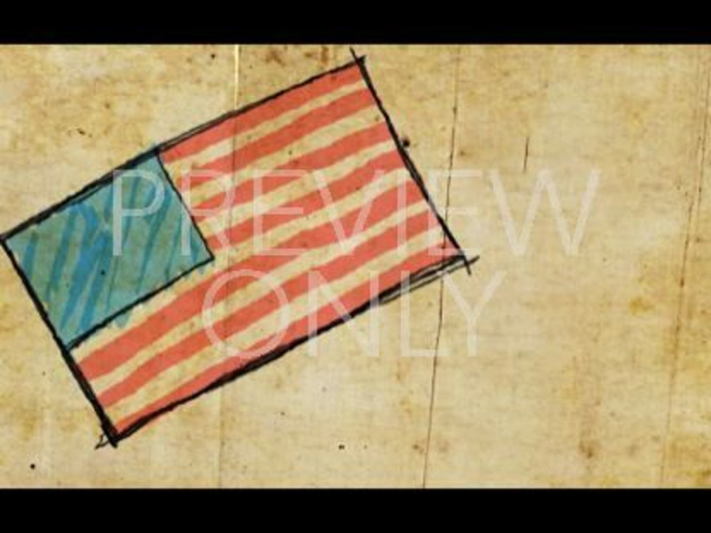 A Very Special Country Still Flag 2