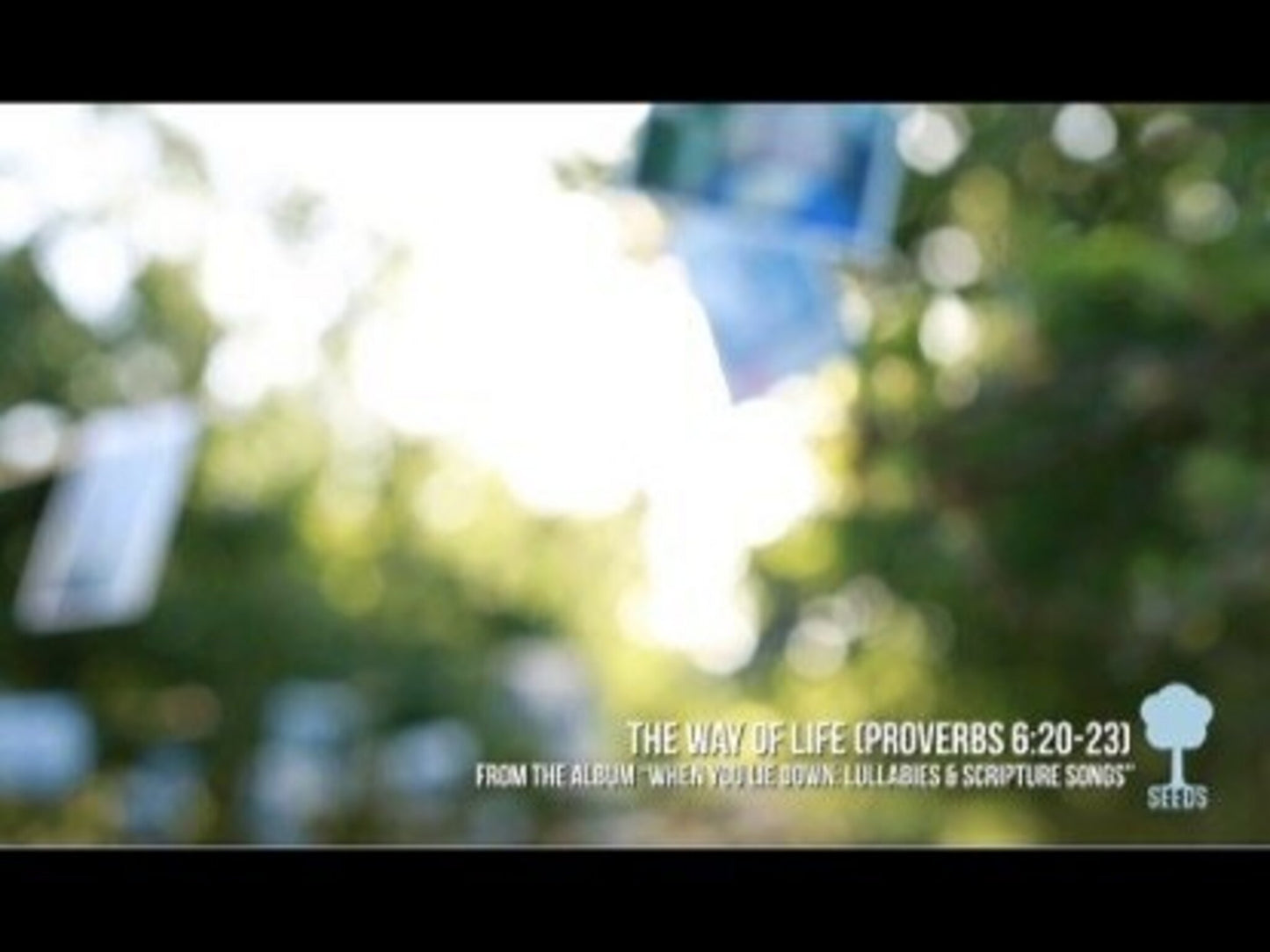 The Way Of Life (Proverbs 6:20-23)