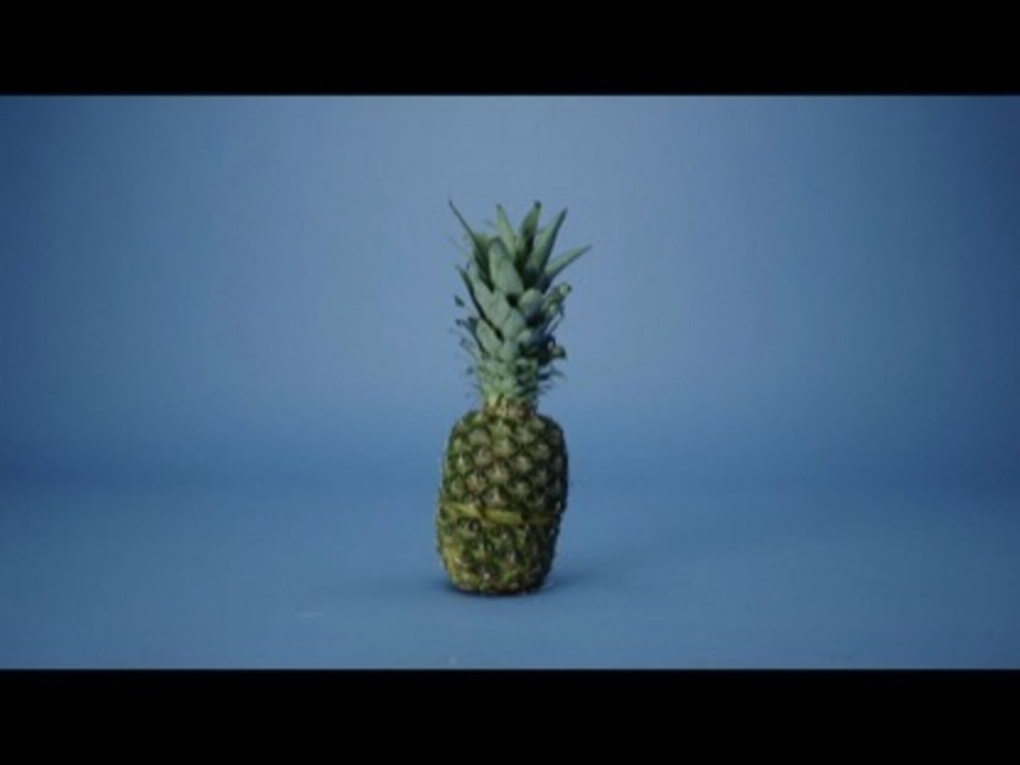 The Fruit Of The Spirit