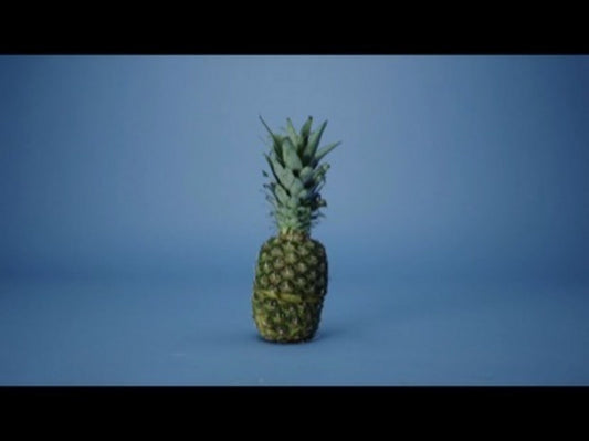 The Fruit Of The Spirit