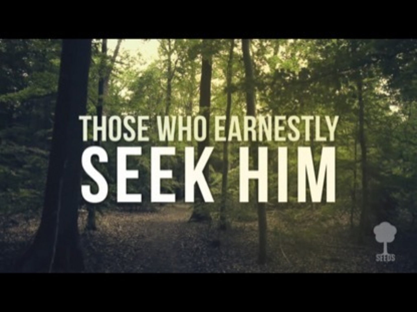 Faith (Hebrews 11:1 & 6)