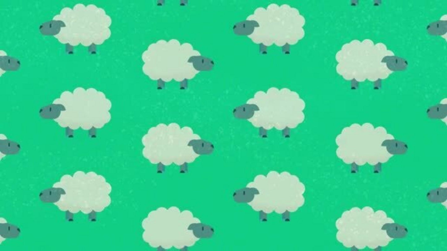 Tales From Bethlehem: Worship Motion 6