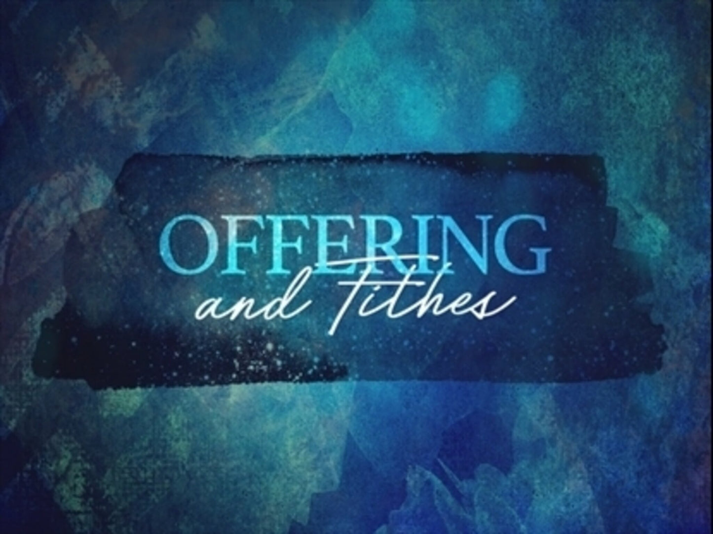 Spring To Life Offering Motion