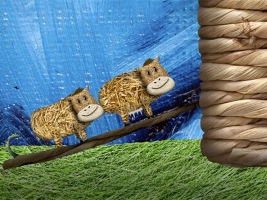 Noah's Ark (Story Song)