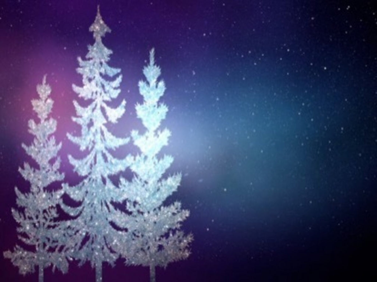 Christmas Sparkle Kids 5