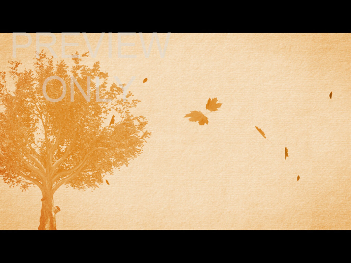 fall volume one: still 01