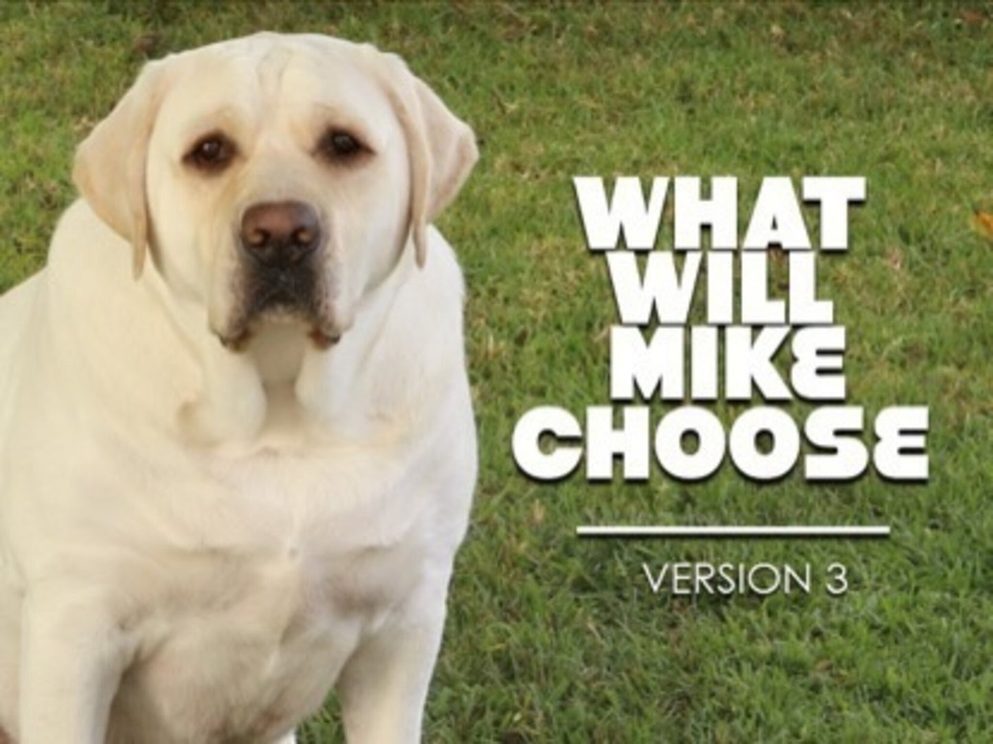 What Will Mike Choose Version 3