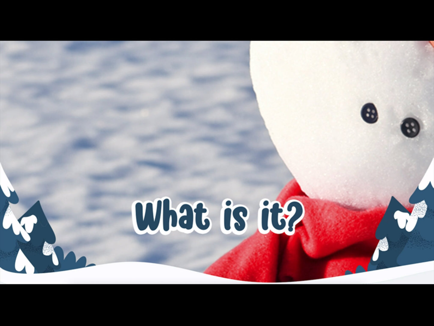 Winter Closeups