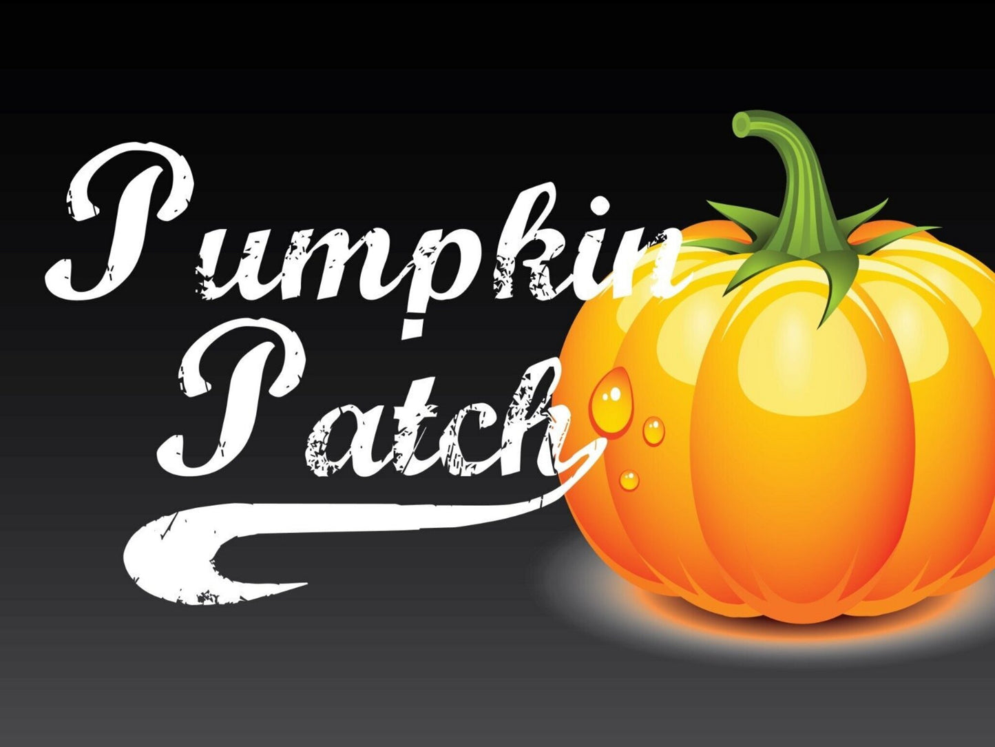 Pumpkin Patch: 4-Week Children's Ministry Curriculum