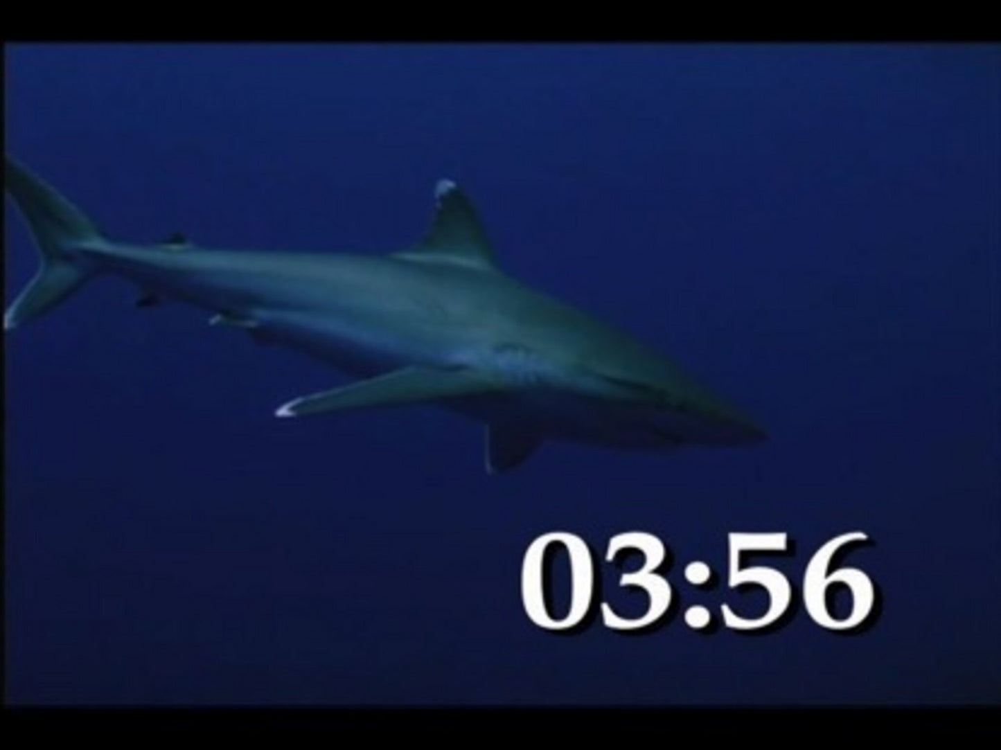 Under The Sea Countdown