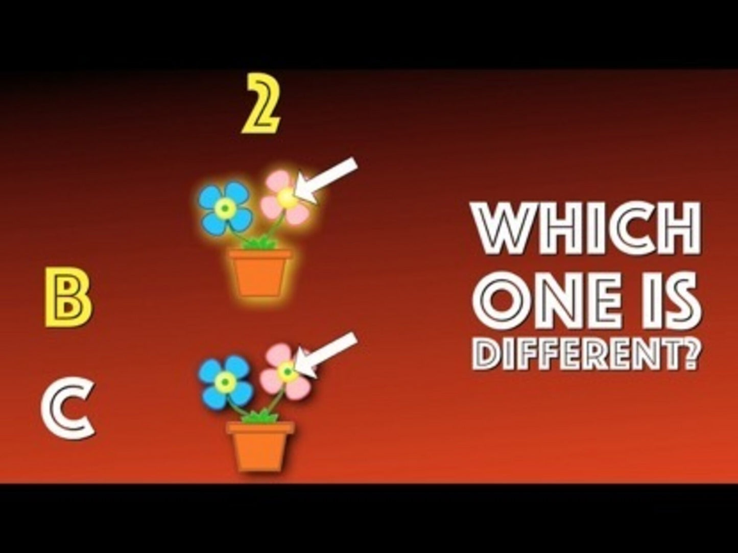 Which One Is Different Version 4