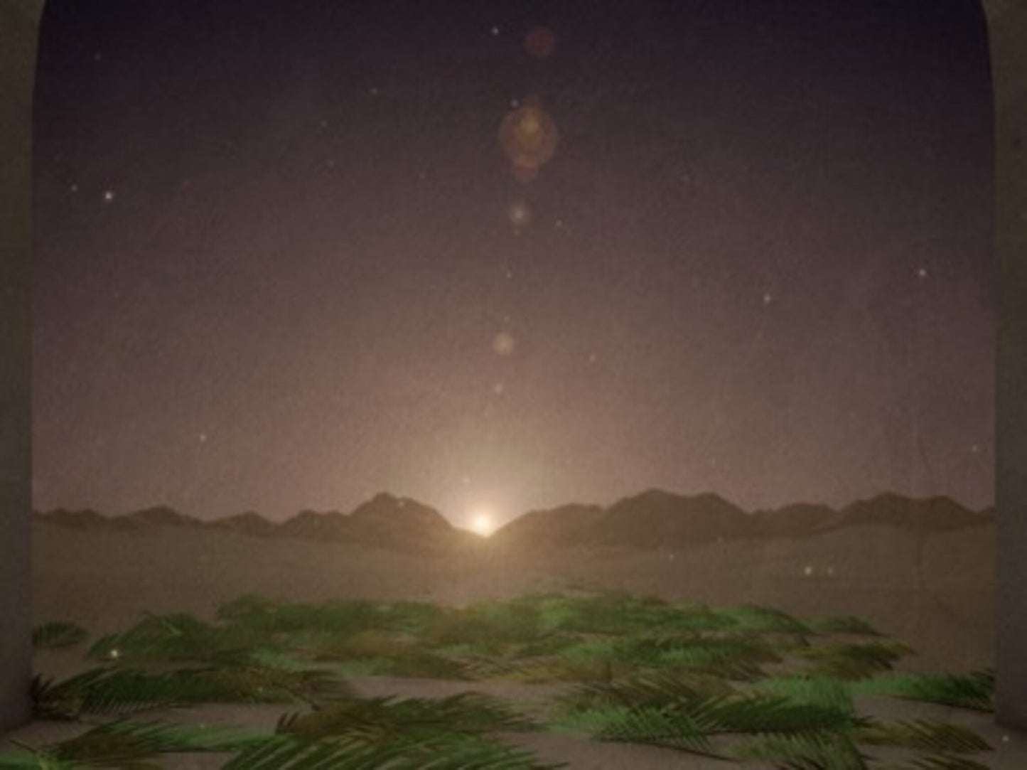 Palm Sunday Jerusalem Sunset