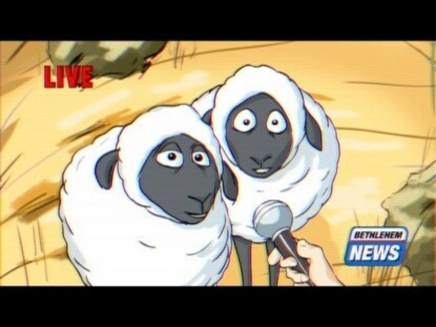 Bethlehem Sheep Interview