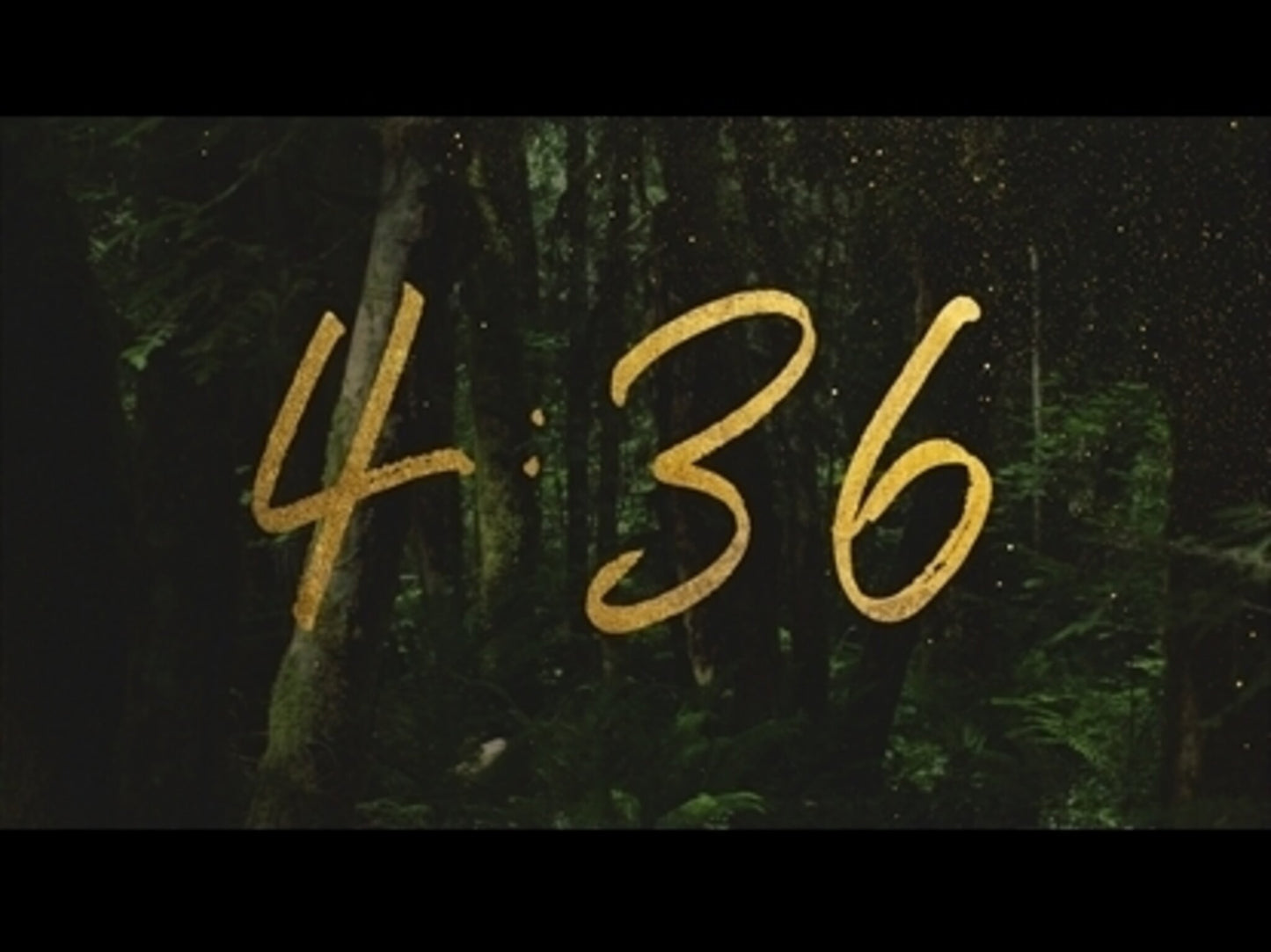 Forest Gold Countdown