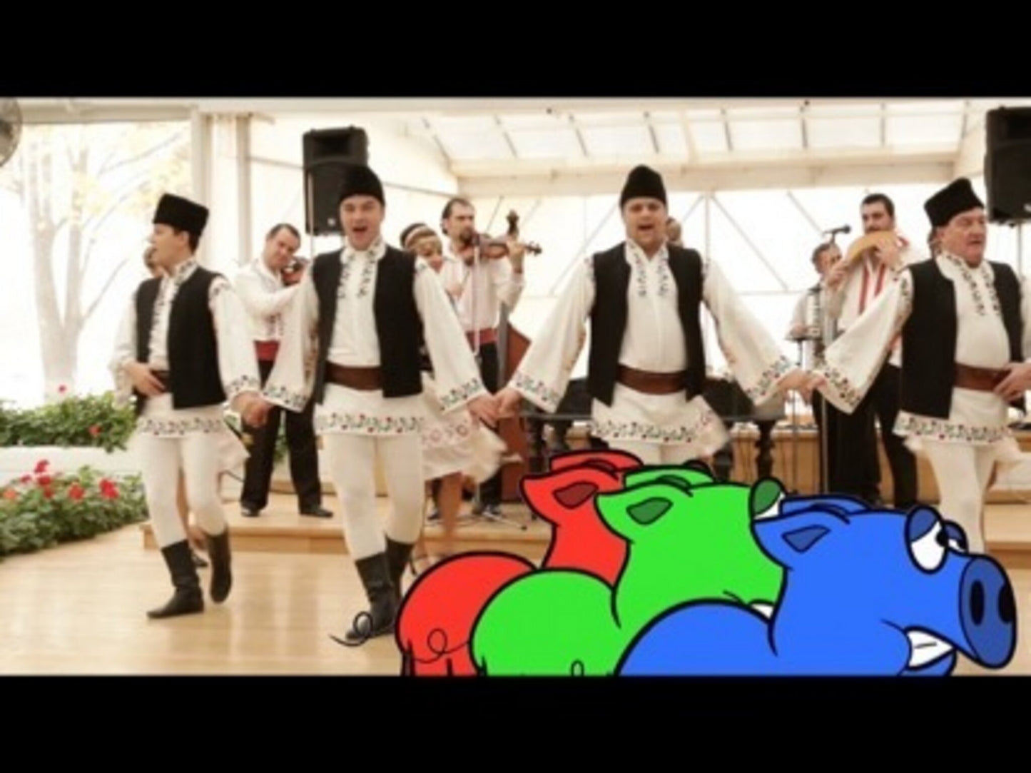 Pig Race Version 5