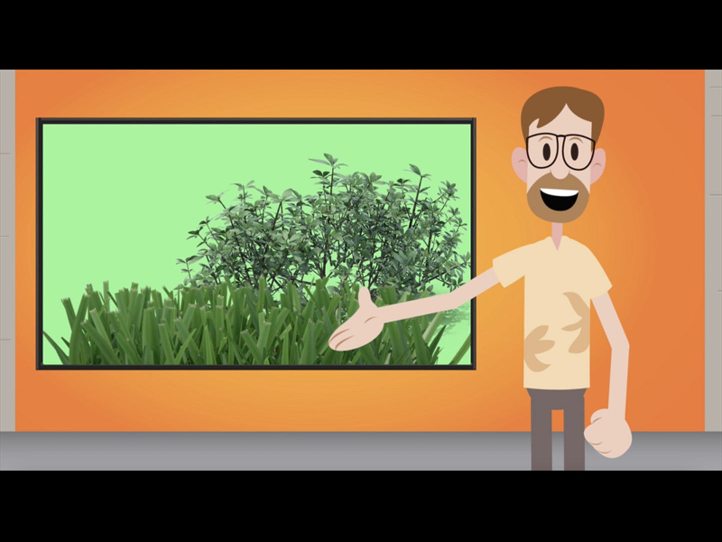 The Color Green Object Lesson - God's Creation