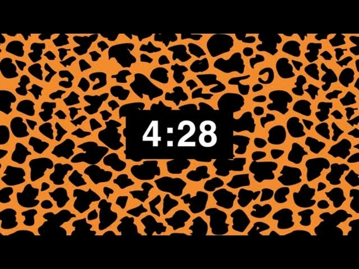 The Reptile Hunter - Elementary 5 Minute Countdown