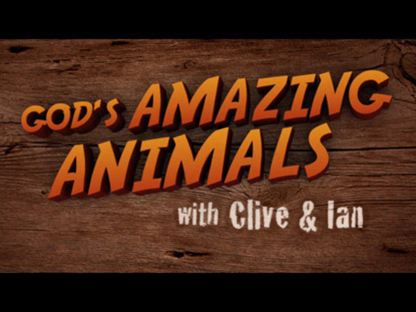 God's Amazing Animals 1 Lions