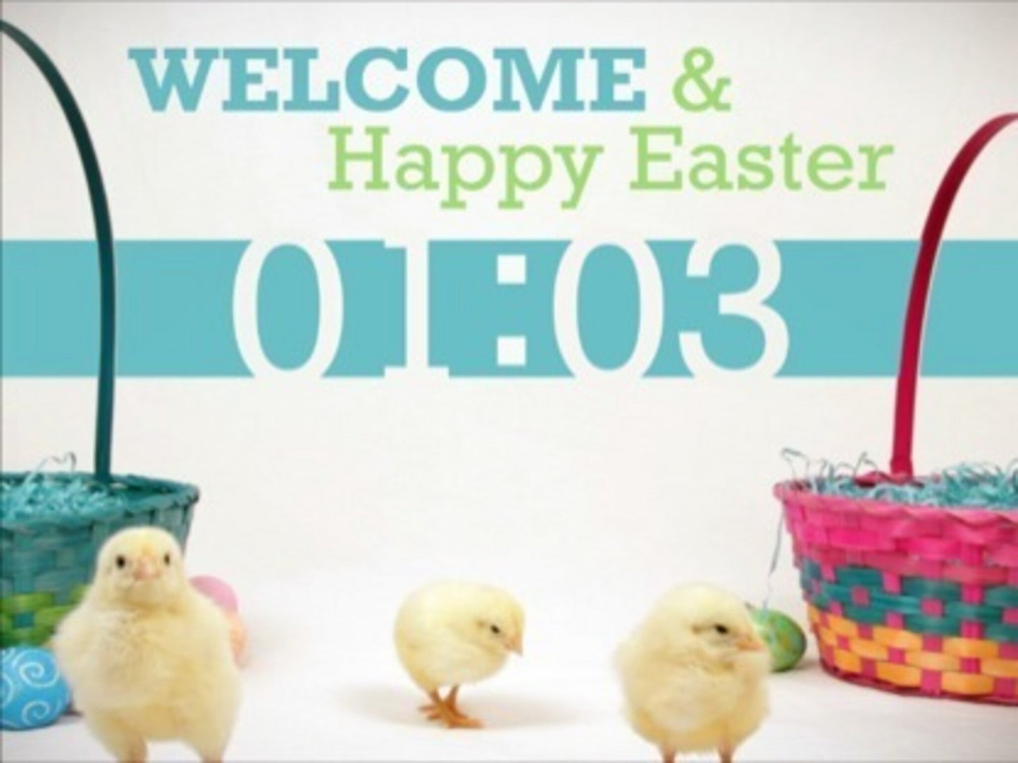 Baby Chicks Easter Countdown
