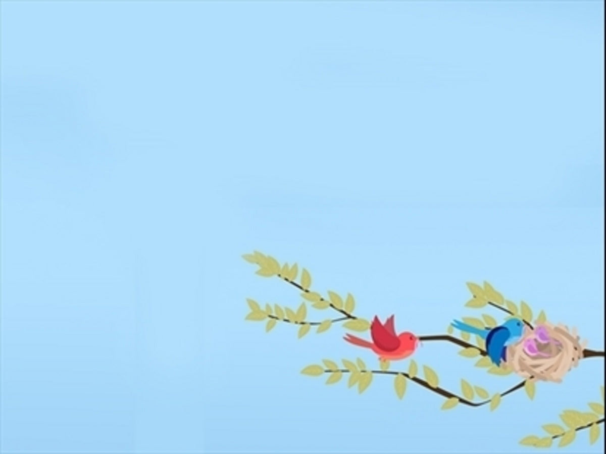 Hungry Bird Spring Motion