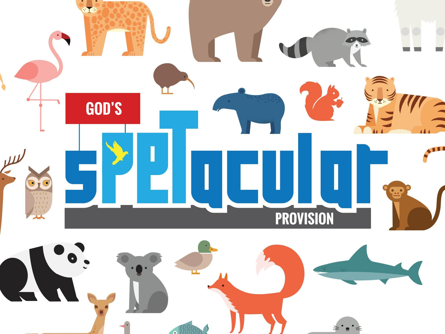 Spetacular Curriculum