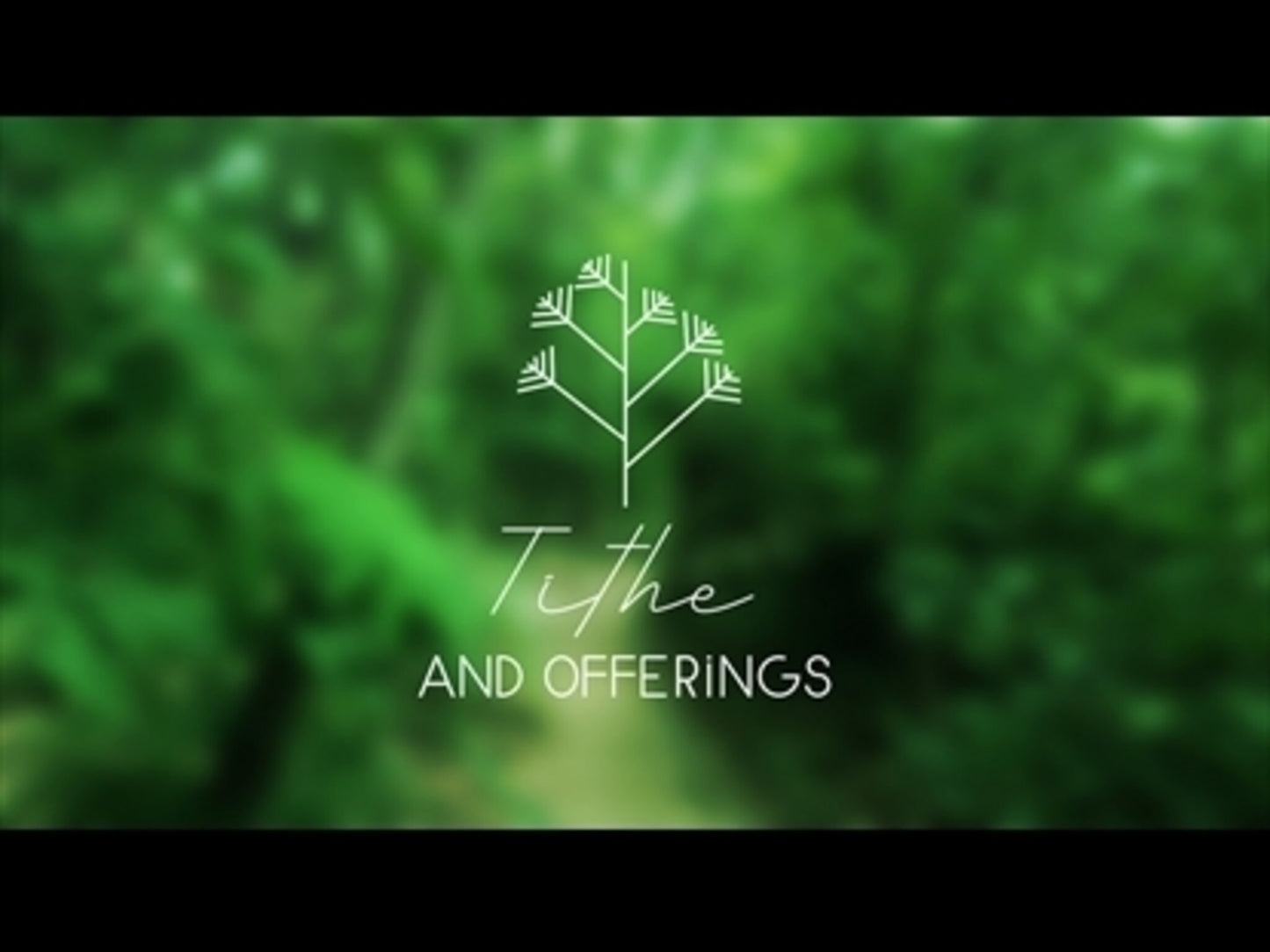 Colors Of Nature Tithe Motion