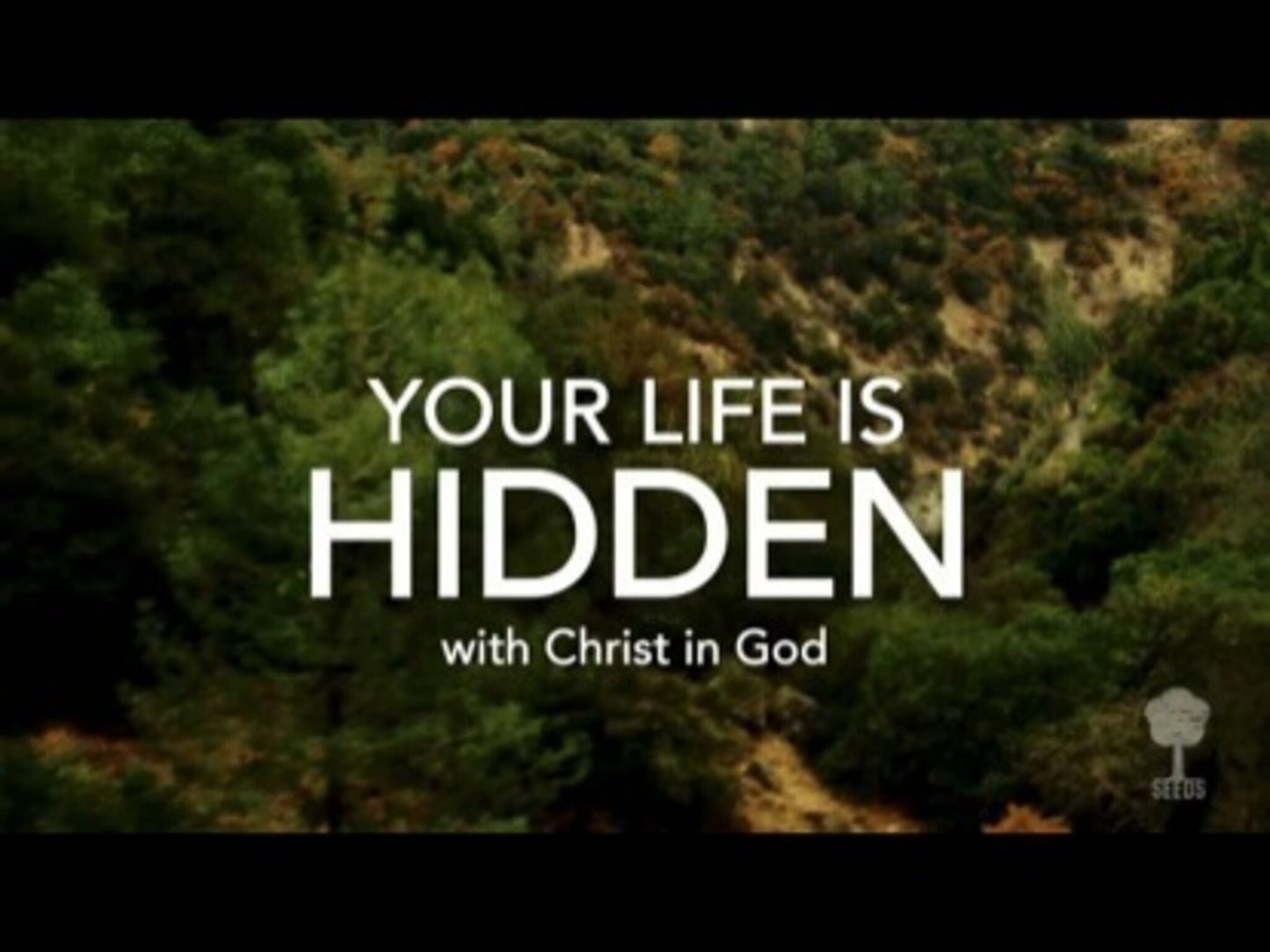 Your Life Is Hidden (Colossians 3:2-3)