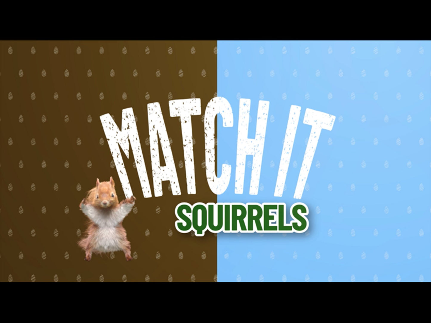 Match It! Squirrels Edition