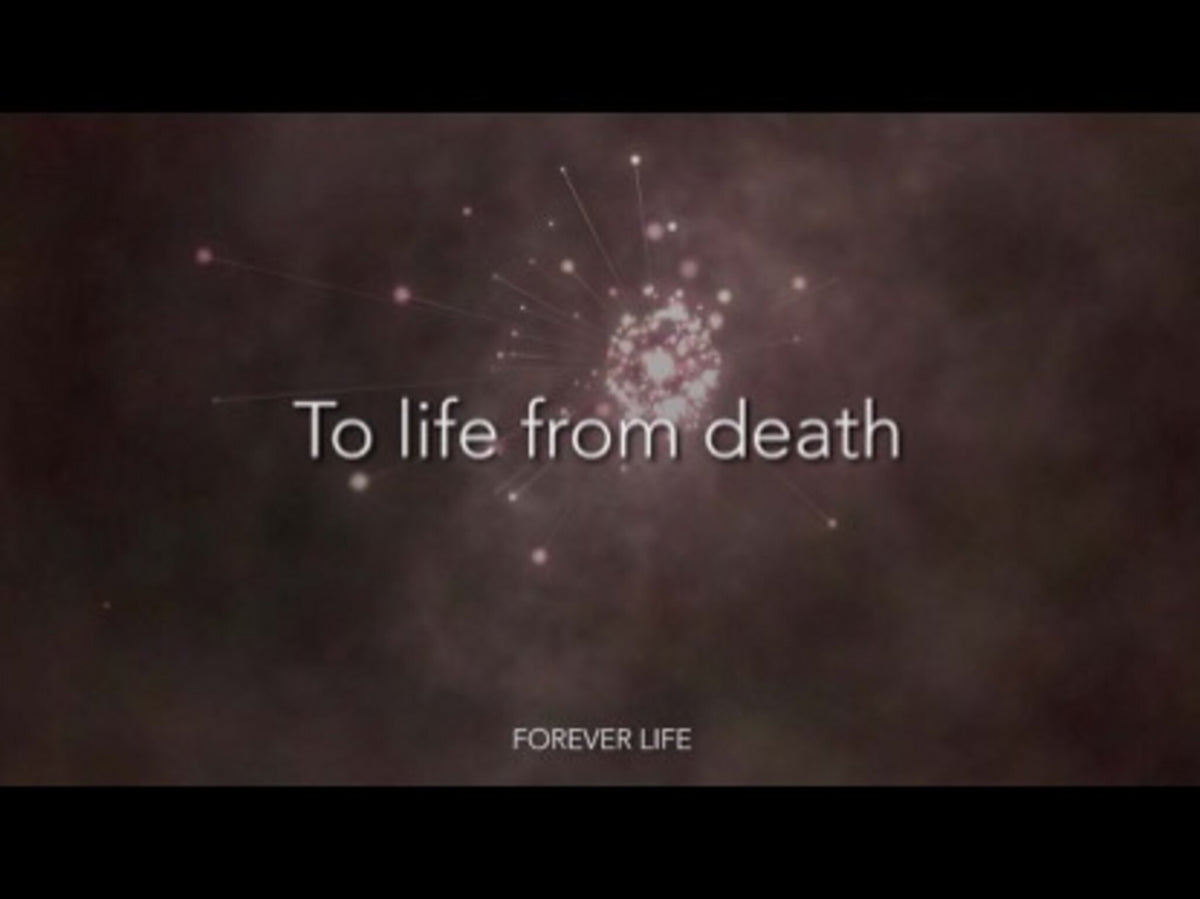 Forever Life