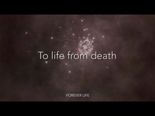 Forever Life