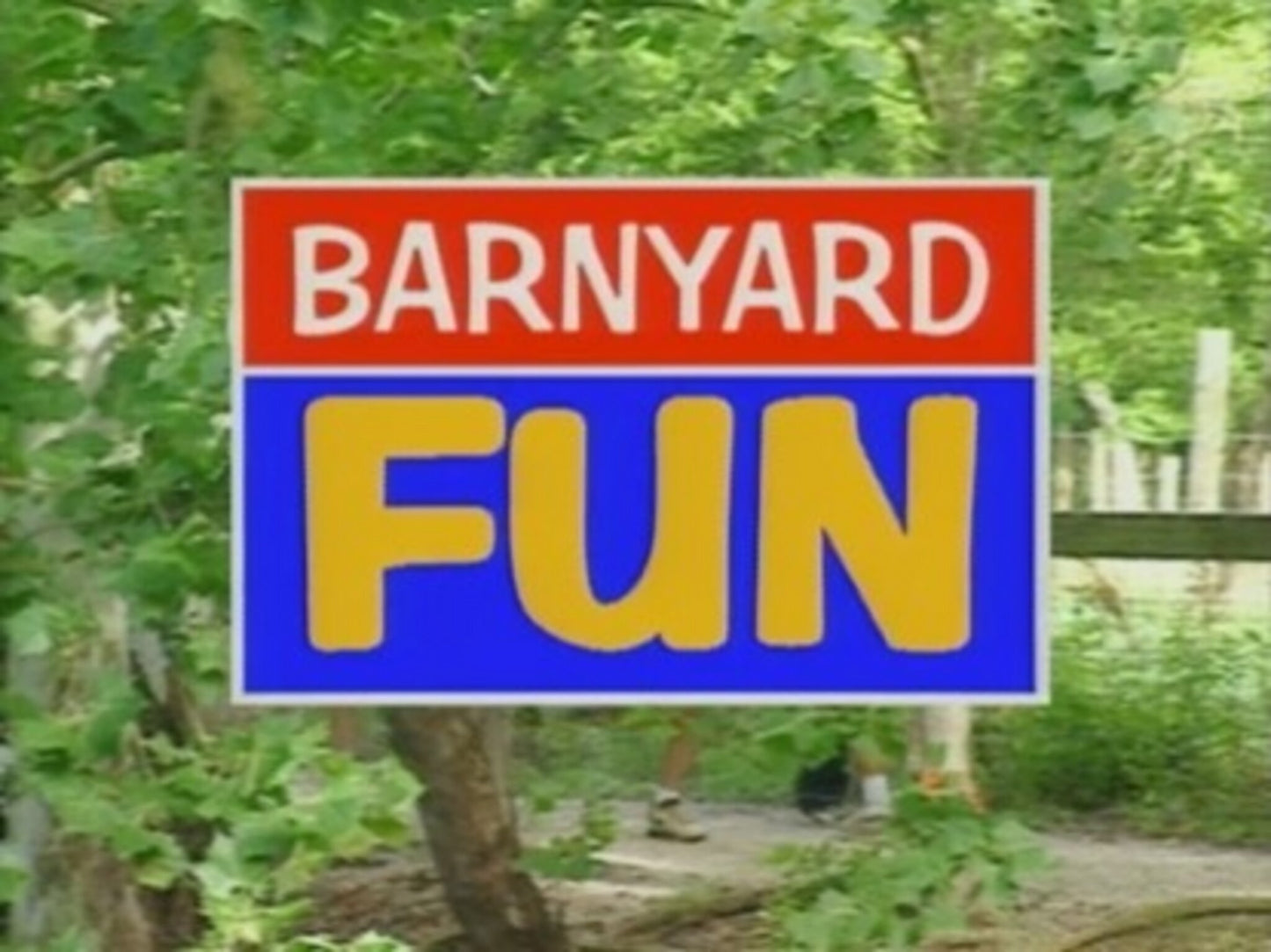 Barnyard Fun