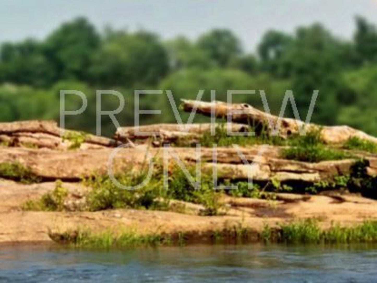 River Rock Still