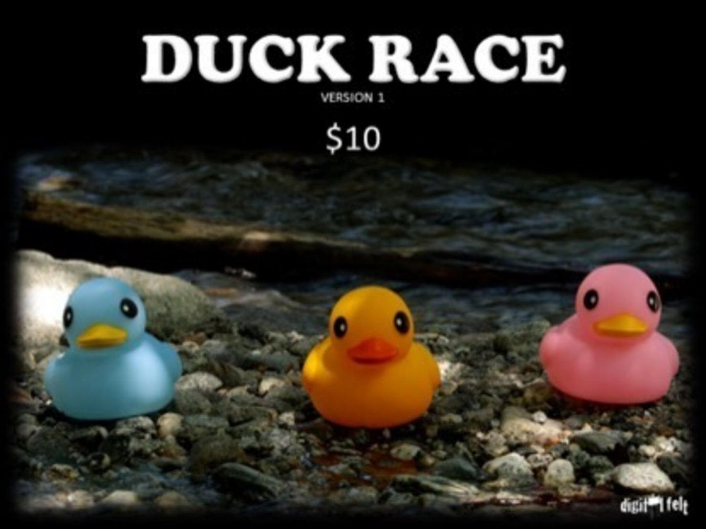 Duck Race 1