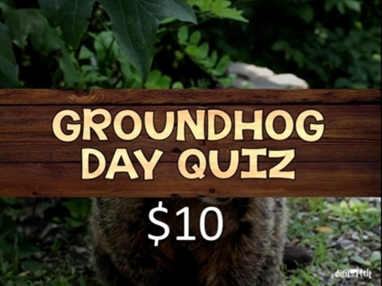 Groundhog Day Quiz